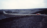 Mustang im schwarzen Lavafeld von Hihawai